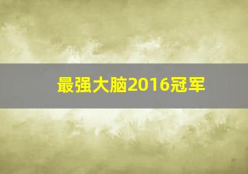 最强大脑2016冠军