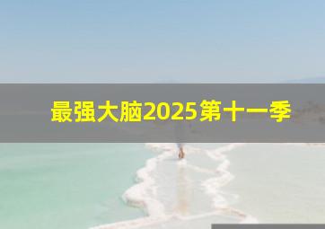 最强大脑2025第十一季