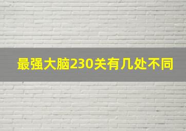 最强大脑230关有几处不同