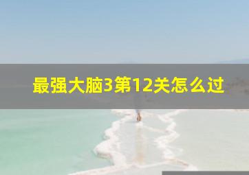 最强大脑3第12关怎么过