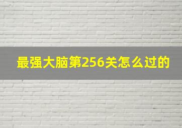 最强大脑第256关怎么过的