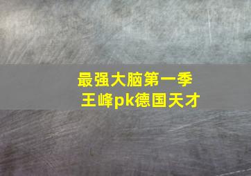 最强大脑第一季王峰pk德国天才