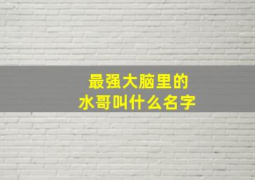 最强大脑里的水哥叫什么名字