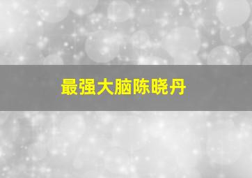 最强大脑陈晓丹