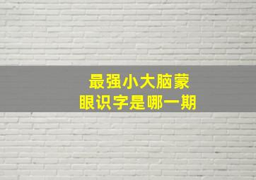 最强小大脑蒙眼识字是哪一期