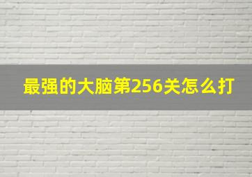 最强的大脑第256关怎么打