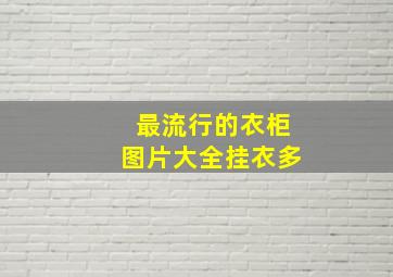 最流行的衣柜图片大全挂衣多