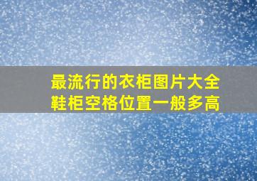 最流行的衣柜图片大全鞋柜空格位置一般多高