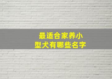 最适合家养小型犬有哪些名字