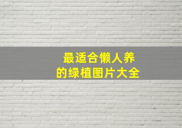 最适合懒人养的绿植图片大全