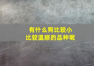 有什么狗比较小比较温顺的品种呢