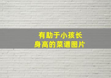 有助于小孩长身高的菜谱图片