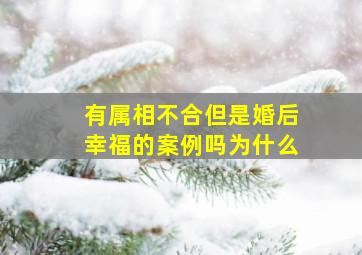 有属相不合但是婚后幸福的案例吗为什么