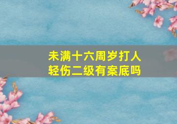 未满十六周岁打人轻伤二级有案底吗