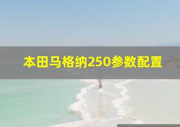 本田马格纳250参数配置