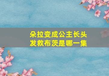 朵拉变成公主长头发救布茨是哪一集