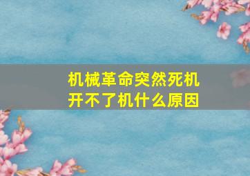 机械革命突然死机开不了机什么原因