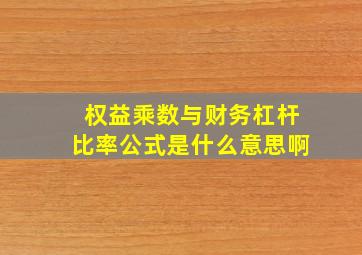 权益乘数与财务杠杆比率公式是什么意思啊