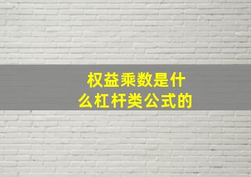 权益乘数是什么杠杆类公式的