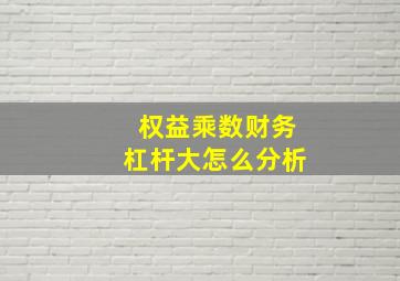 权益乘数财务杠杆大怎么分析