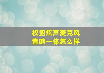 权盟炫声麦克风音响一体怎么样