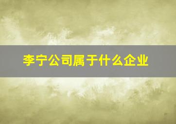 李宁公司属于什么企业