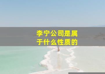 李宁公司是属于什么性质的