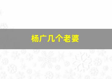 杨广几个老婆