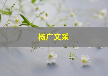 杨广文采