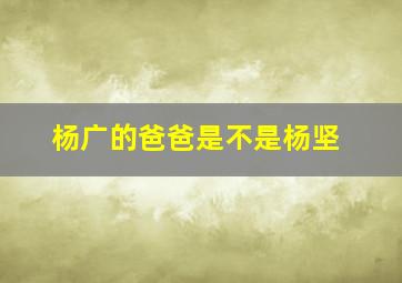 杨广的爸爸是不是杨坚