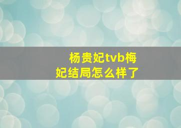 杨贵妃tvb梅妃结局怎么样了