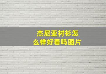 杰尼亚衬衫怎么样好看吗图片