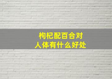 枸杞配百合对人体有什么好处