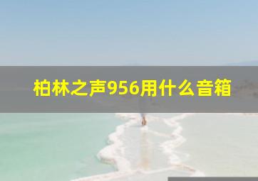 柏林之声956用什么音箱