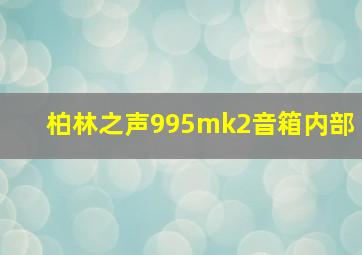 柏林之声995mk2音箱内部