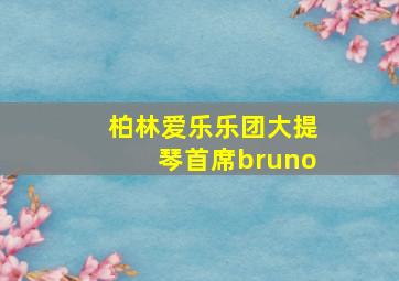 柏林爱乐乐团大提琴首席bruno