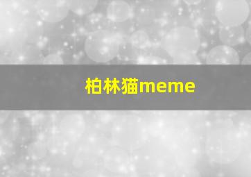 柏林猫meme