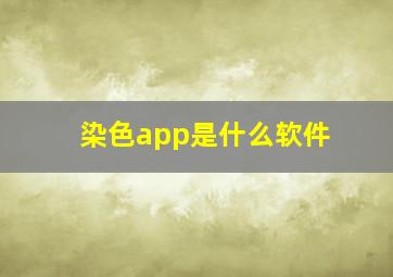 染色app是什么软件