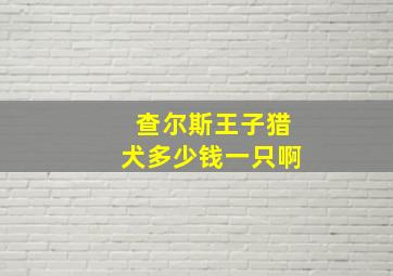 查尔斯王子猎犬多少钱一只啊