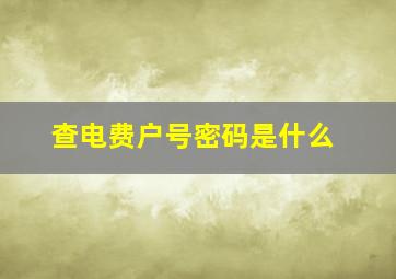 查电费户号密码是什么