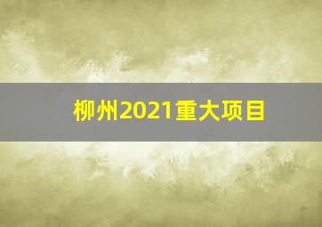 柳州2021重大项目