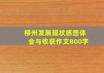 柳州发展现状感想体会与收获作文800字