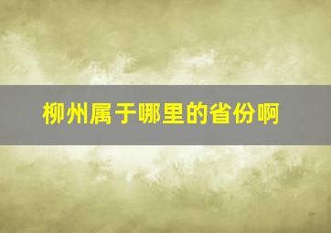 柳州属于哪里的省份啊