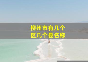 柳州市有几个区几个县名称