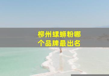 柳州螺蛳粉哪个品牌最出名