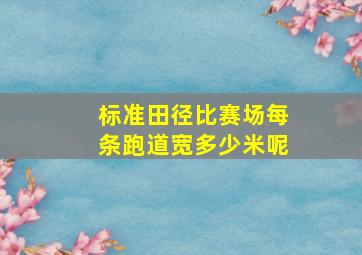 标准田径比赛场每条跑道宽多少米呢