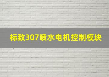 标致307喷水电机控制模块