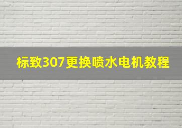 标致307更换喷水电机教程