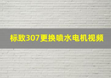 标致307更换喷水电机视频