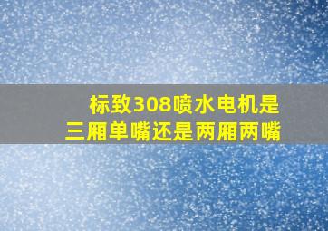 标致308喷水电机是三厢单嘴还是两厢两嘴